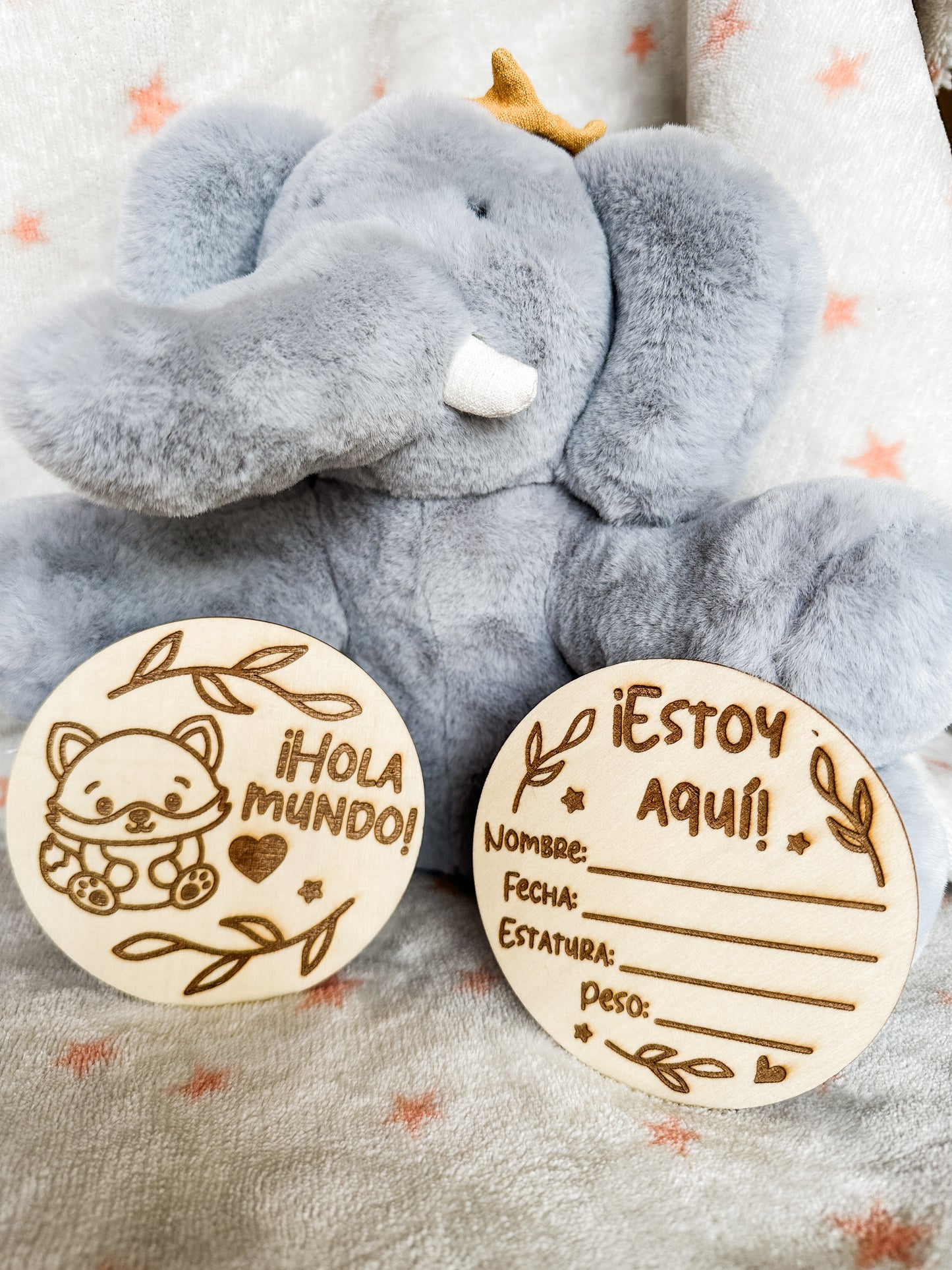 Placas Cumple Mes Bebé - Animales 🐻