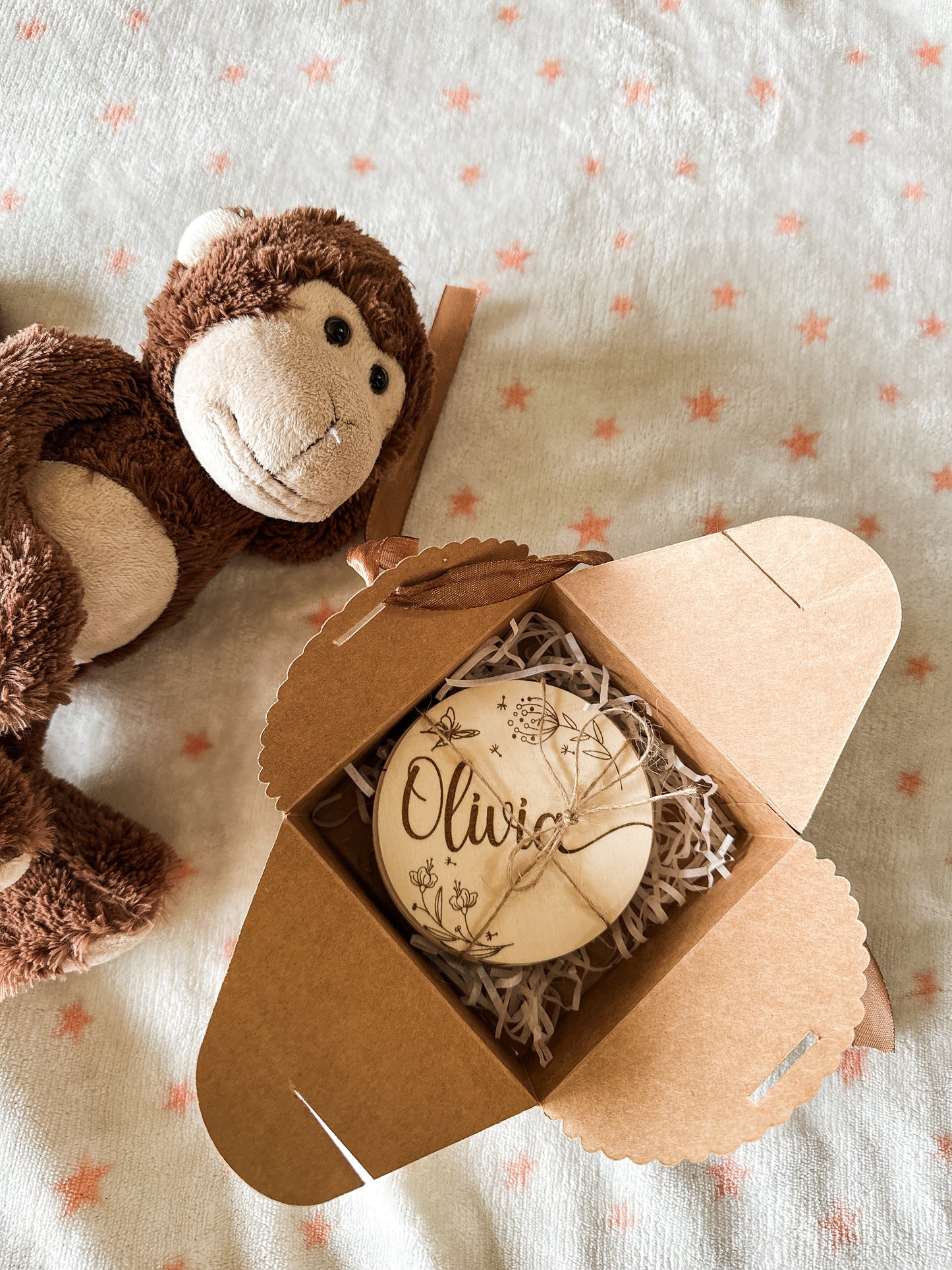 Placas Cumple Mes Bebé - Animales 🐻