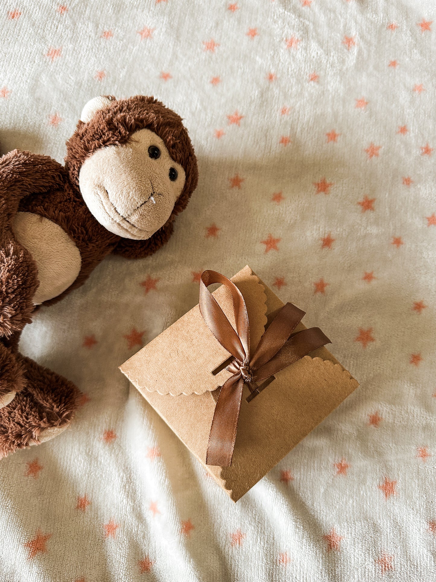 Placas Cumple Mes Bebé - Animales 🐻