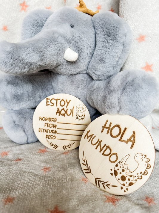 Placas Cumple Mes Bebé - Dinosaurios 🦕
