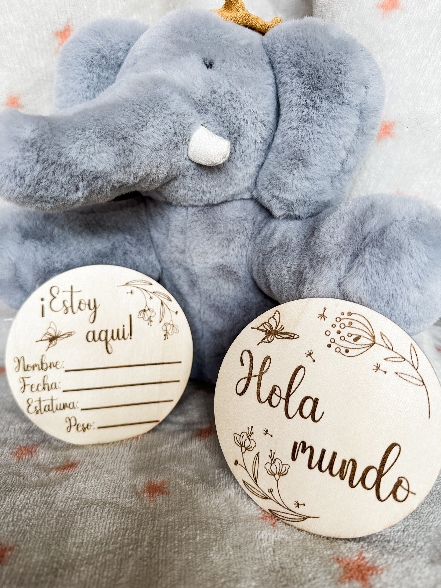 Placas Cumple Mes Bebé - Flores 🌼