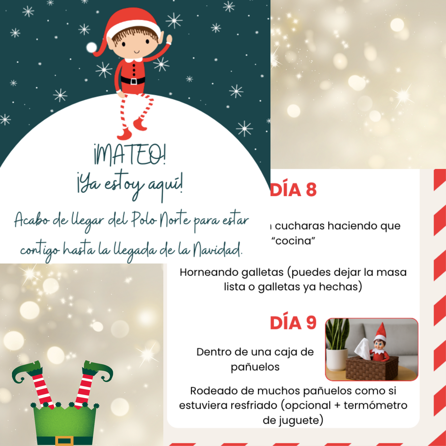 Cartel Elfo Navideño