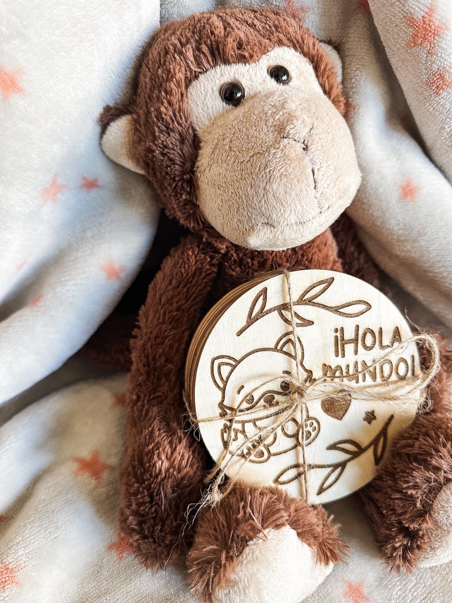 Placas Cumple Mes Bebé - Animales 🐻