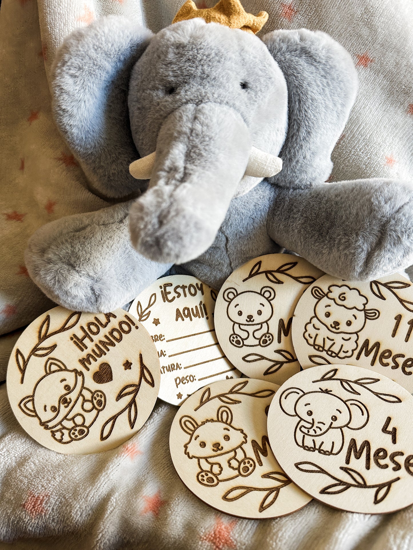 Placas Cumple Mes Bebé - Animales 🐻