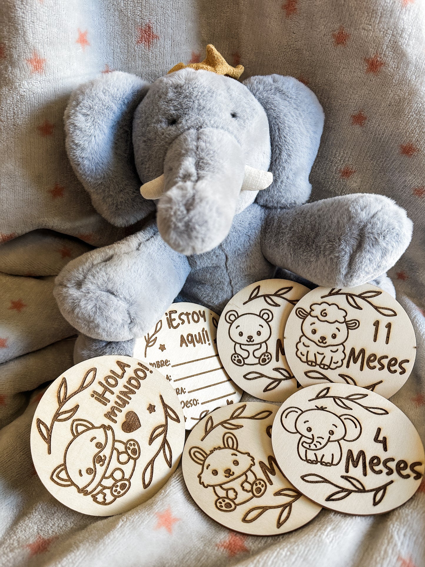 Placas Cumple Mes Bebé - Animales 🐻