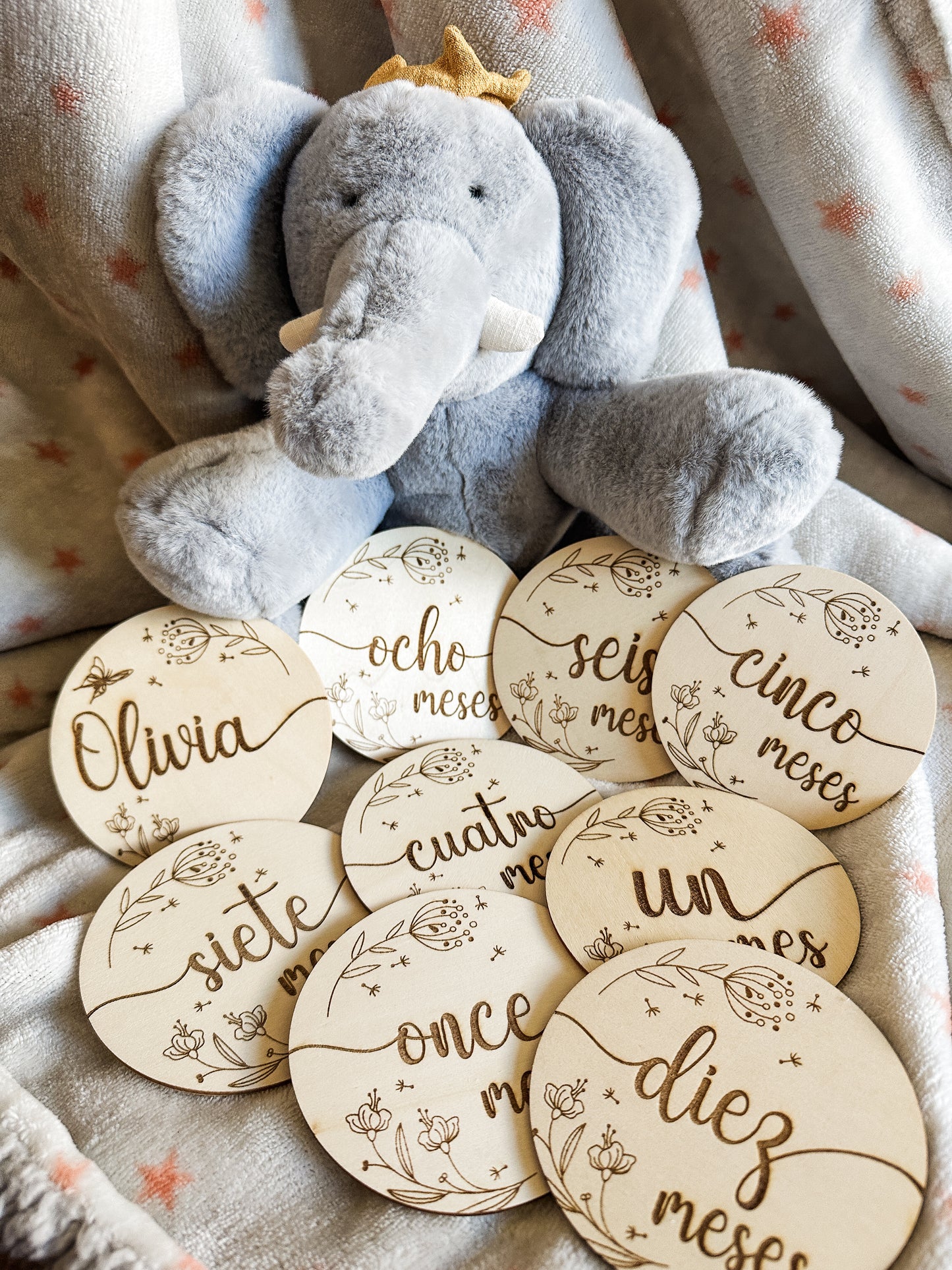 Placas Cumple Mes Bebé - Flores 🌼