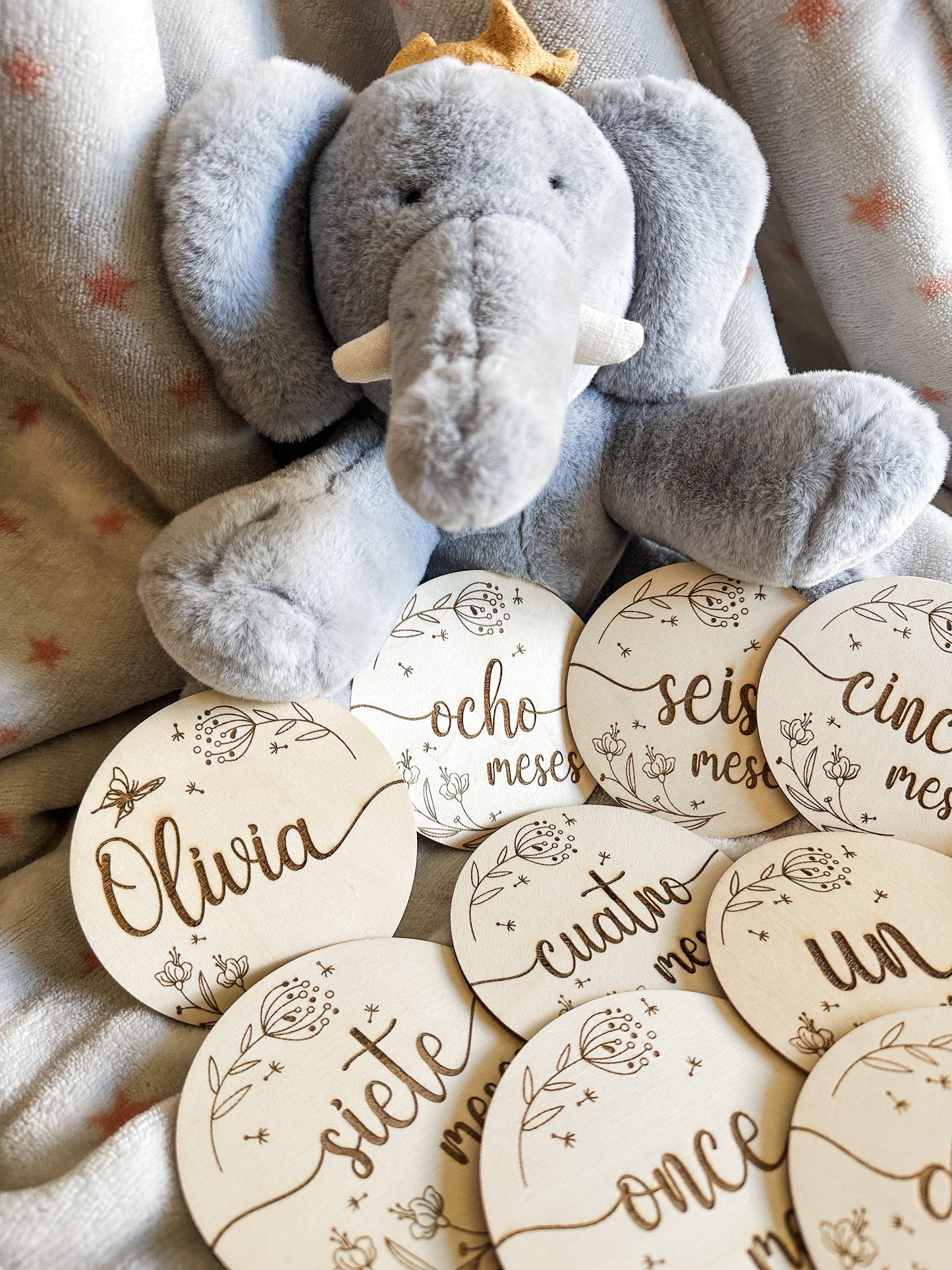 Placas Cumple Mes Bebé - Flores 🌼