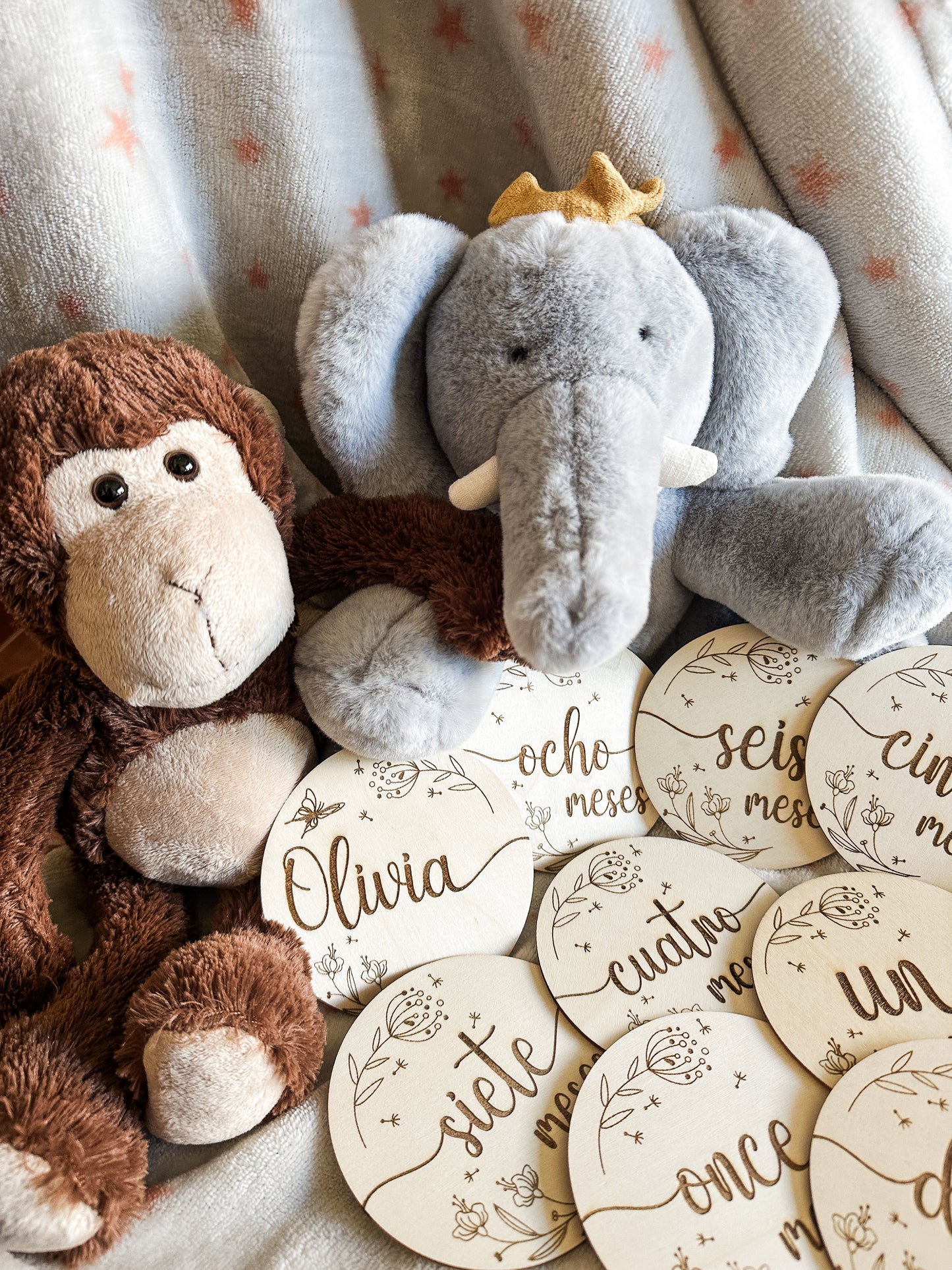 Placas Cumple Mes Bebé - Flores 🌼