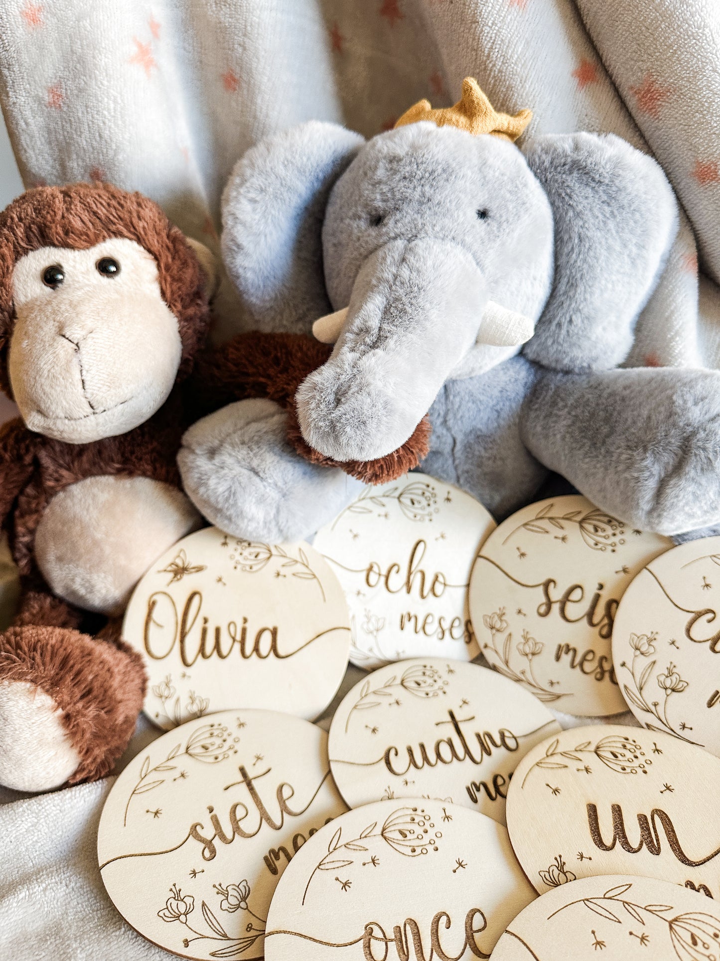 Placas Cumple Mes Bebé - Flores 🌼