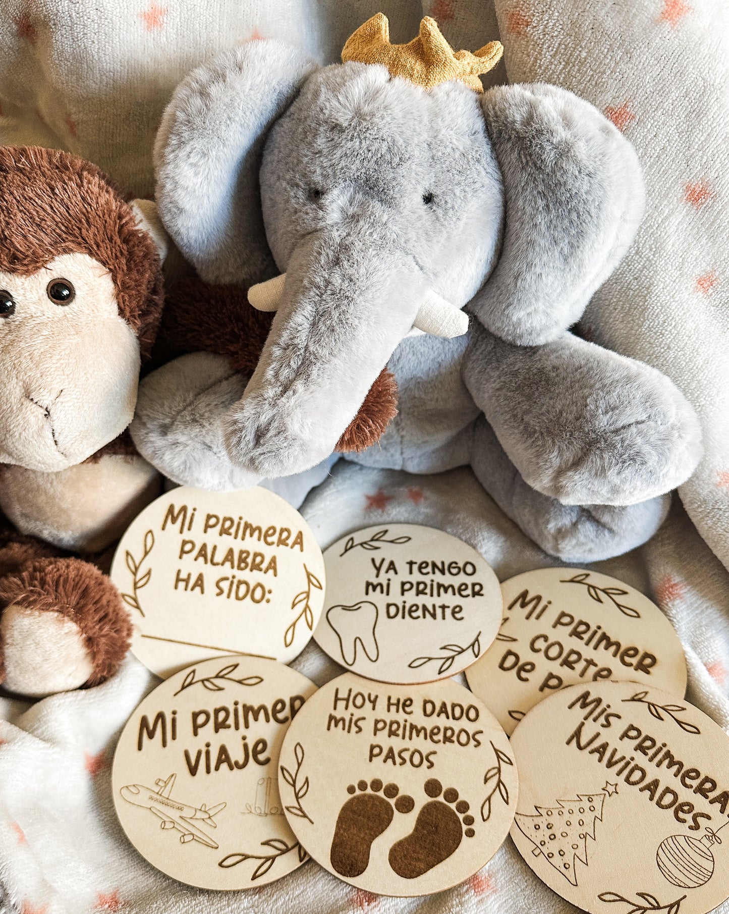 Placas Cumple Mes Bebé - Animales 🐻