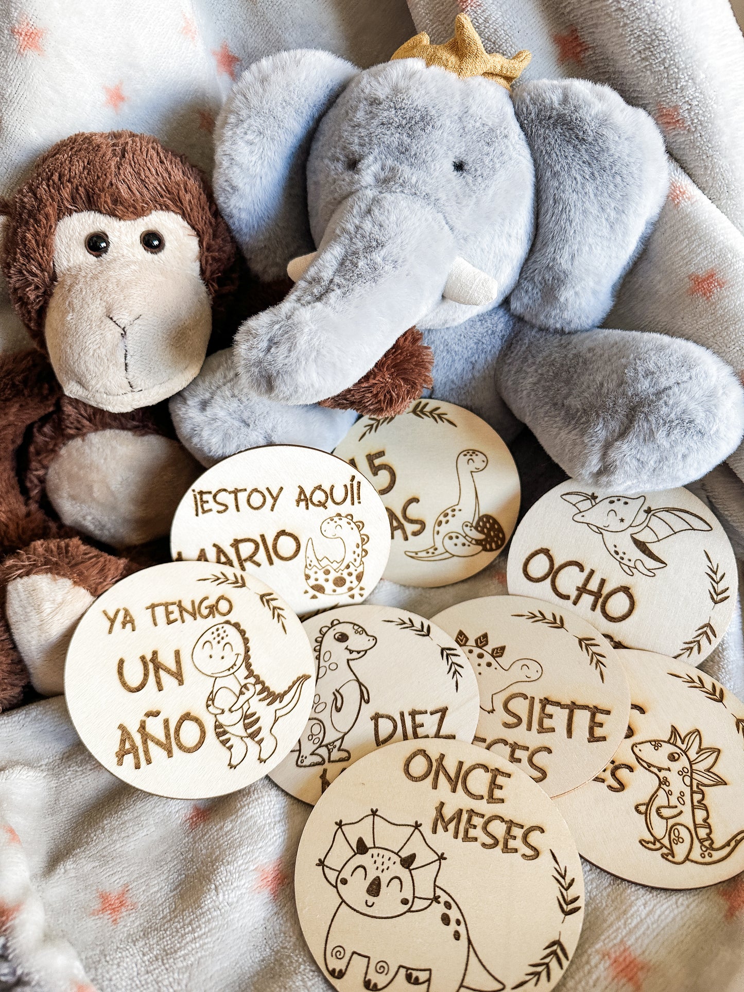 Placas Cumple Mes Bebé - Dinosaurios 🦕