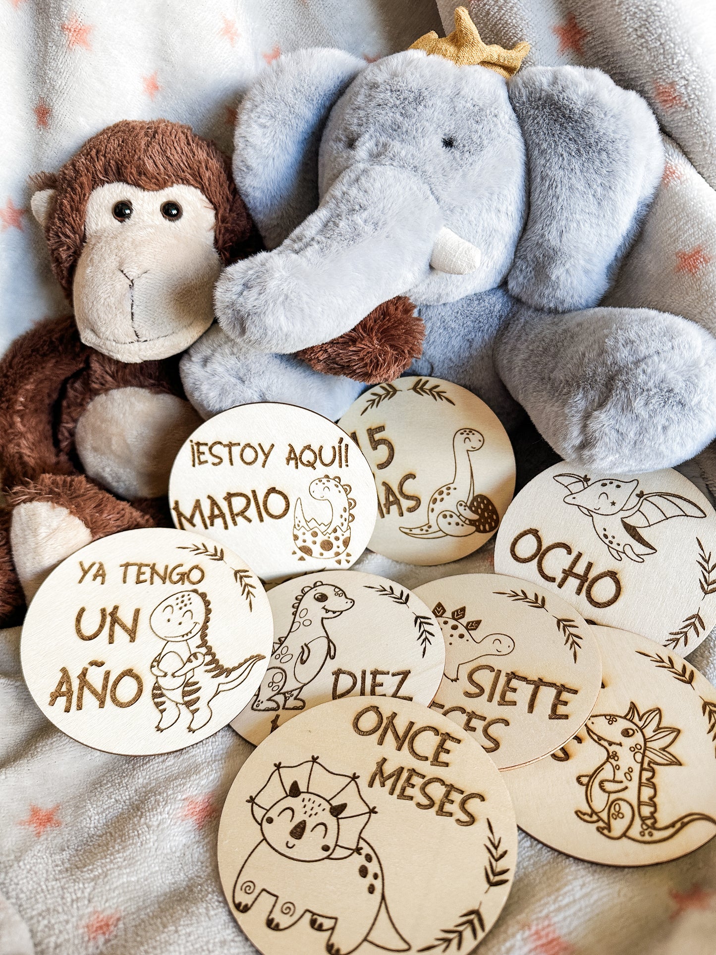 Placas Cumple Mes Bebé - Dinosaurios 🦕