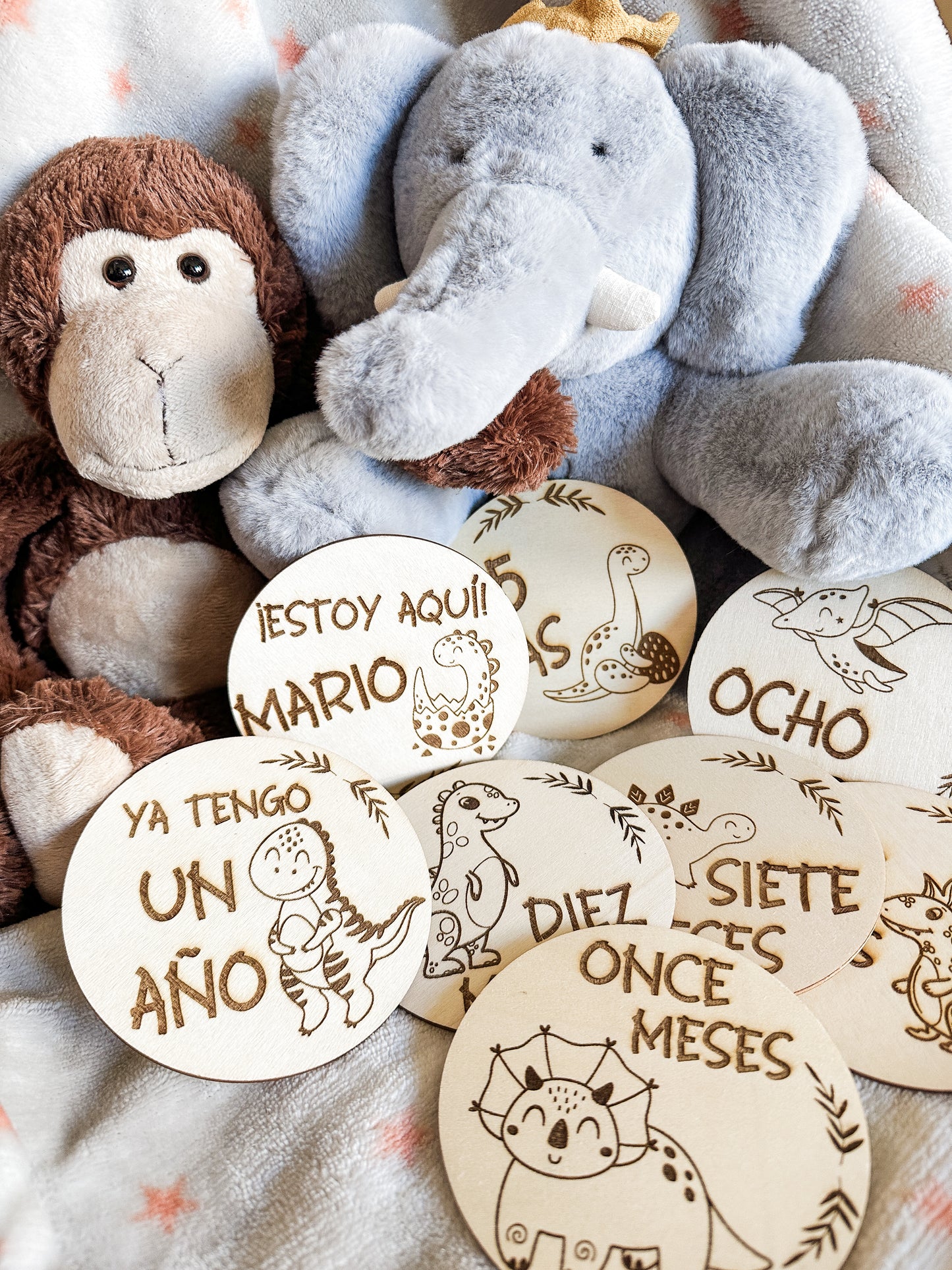 Placas Cumple Mes Bebé - Dinosaurios 🦕