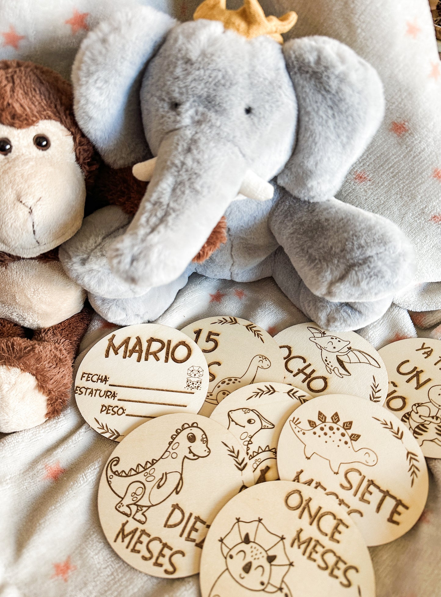 Placas Cumple Mes Bebé - Dinosaurios 🦕