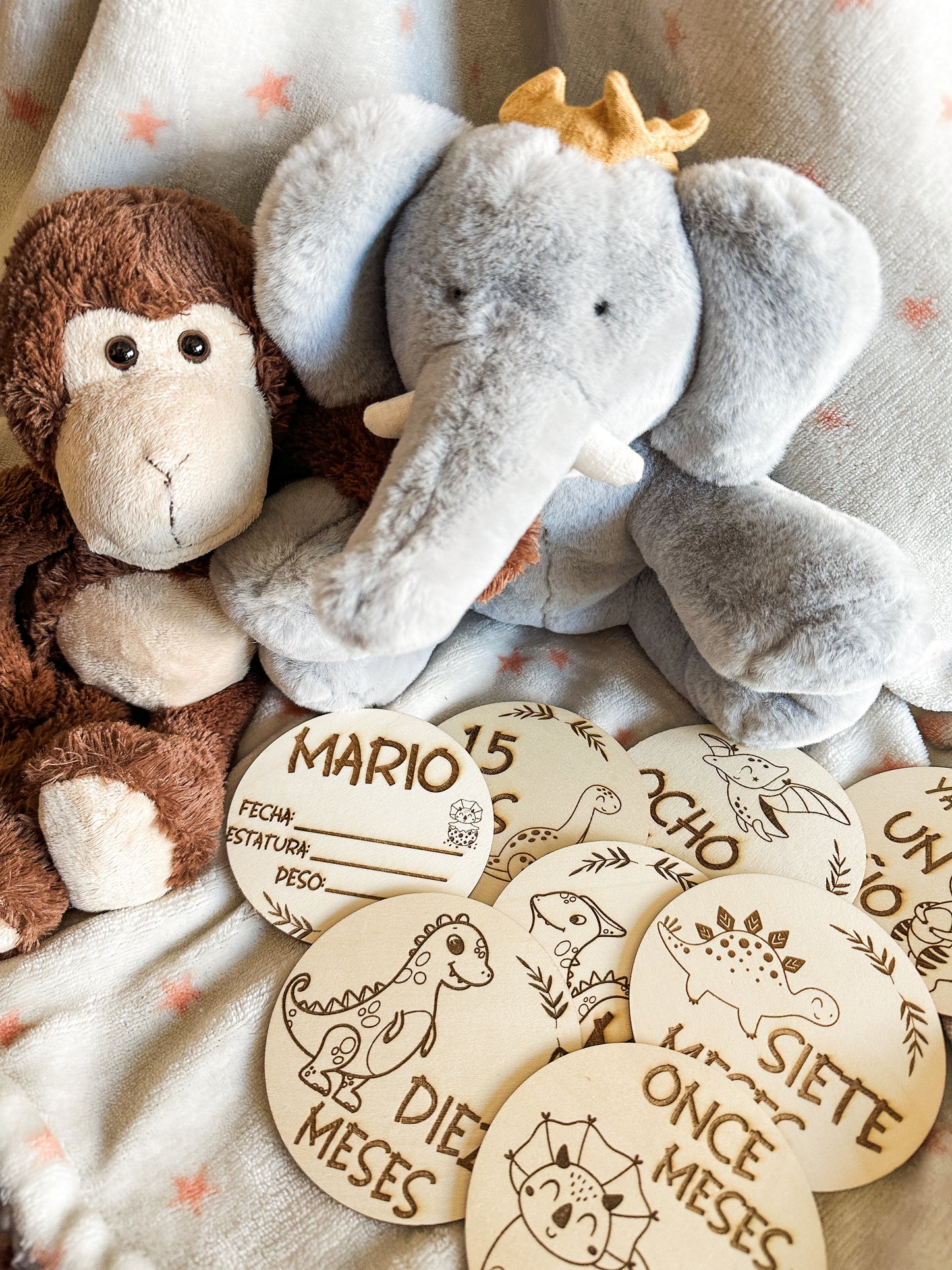 Placas Cumple Mes Bebé - Dinosaurios 🦕