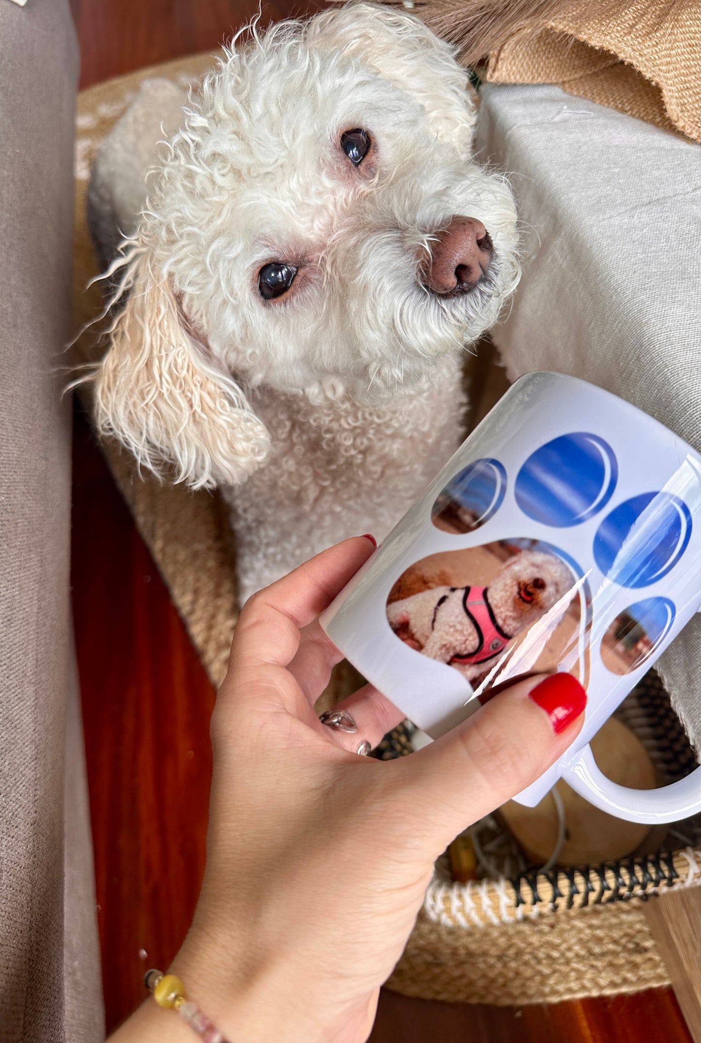 Taza Personalizada - Foto Perro/Gato + Frase